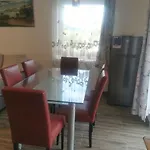 Vöröstölgy *